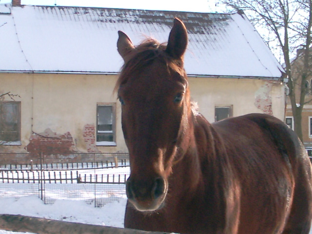foto16.JPG